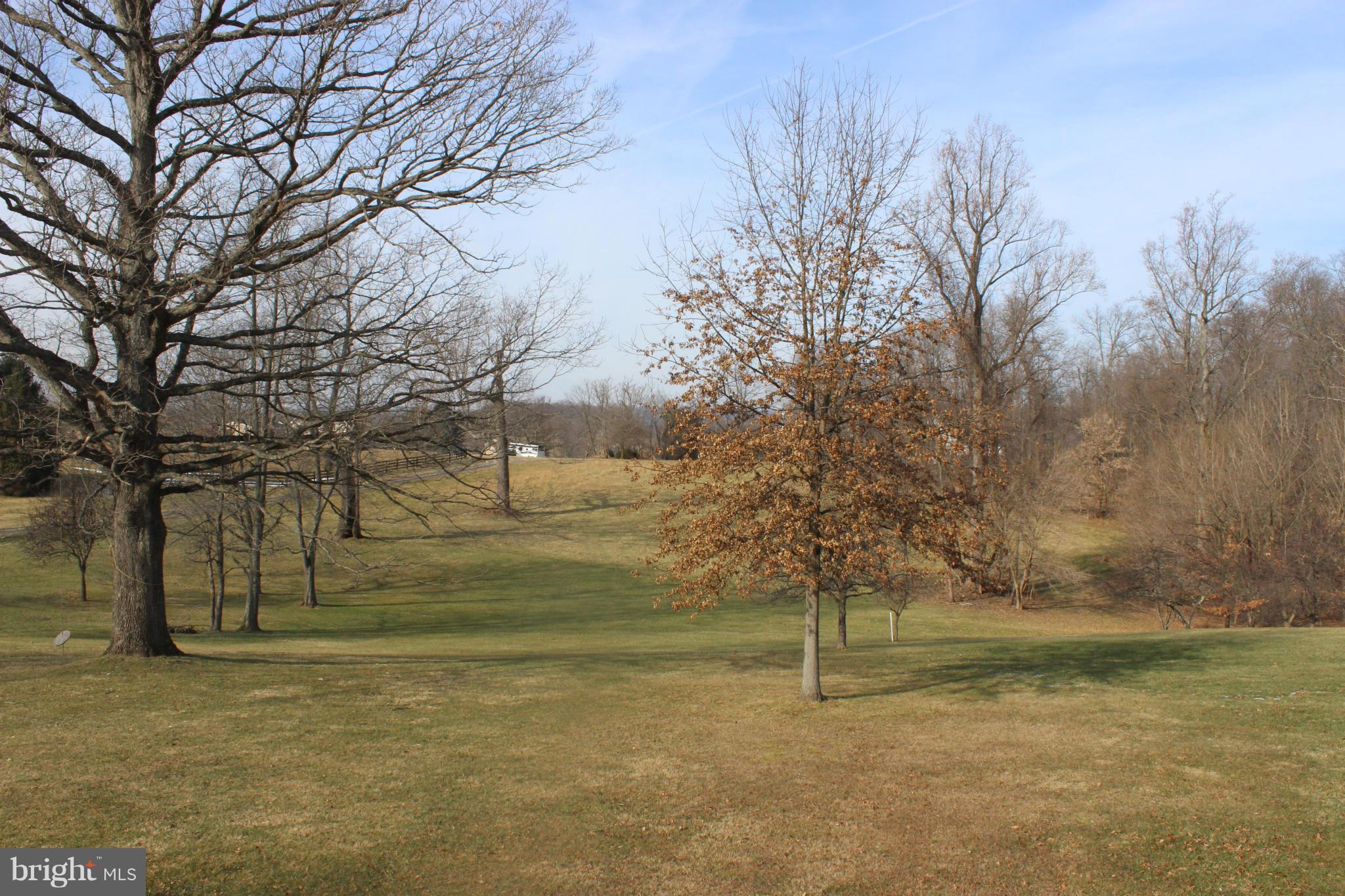 16397 Hampton Road Hamilton, VA 20158 - Photo 29 of 30 Abundant mature trees
