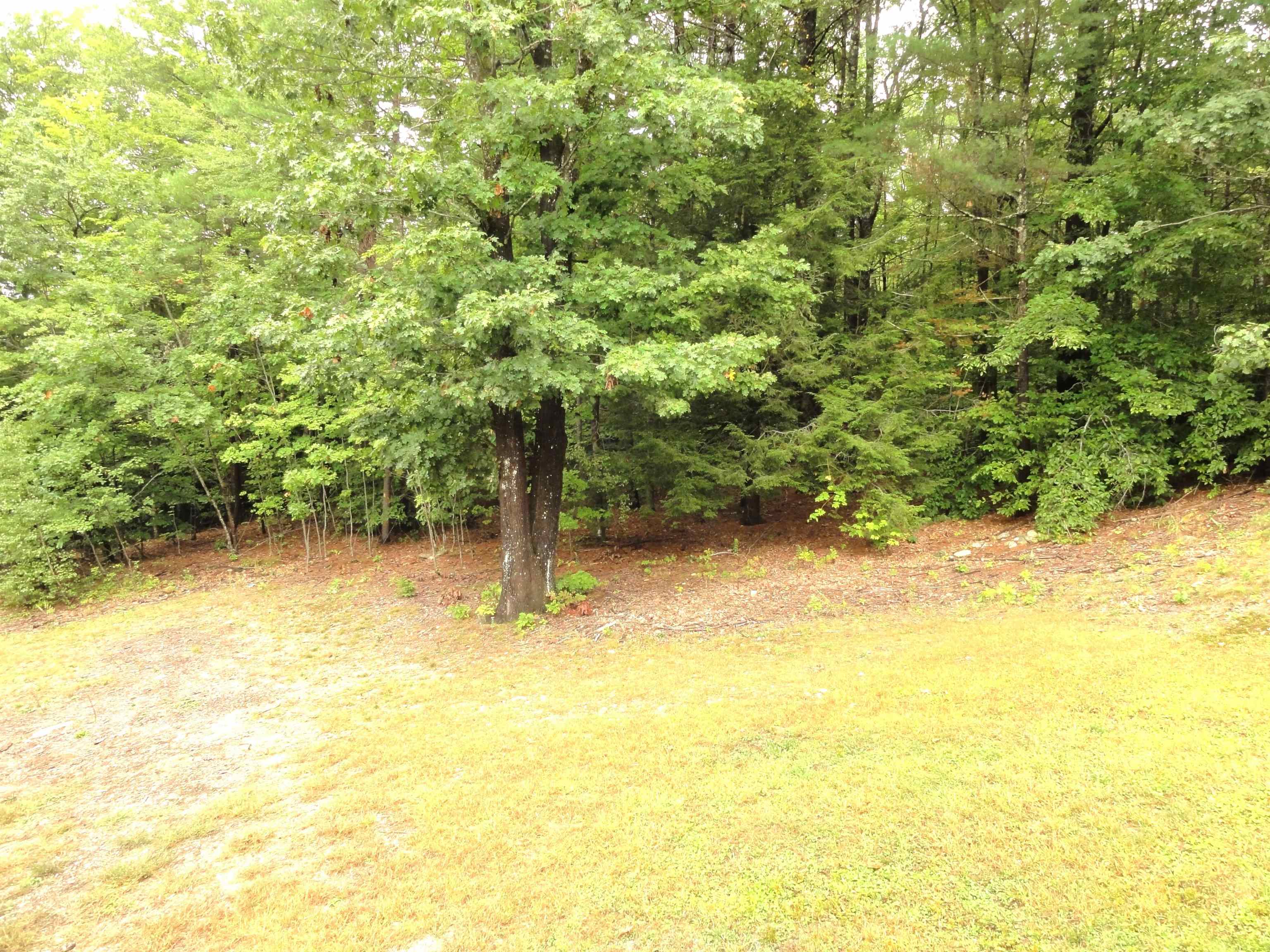 407 Old Dublin Road Hancock, NH 03449 - Photo 26 of 29