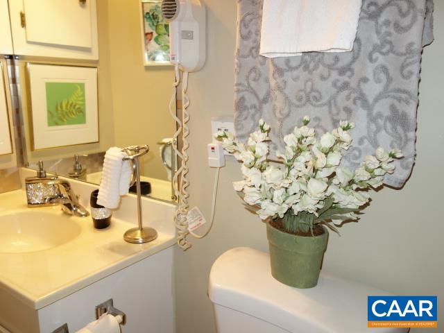 488 3 Ridges Roseland, VA 22967 - Photo 23 of 30 Gallery Image 23