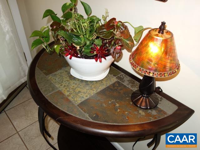 488 3 Ridges Roseland, VA 22967 - Photo 5 of 30 Gallery Image 5