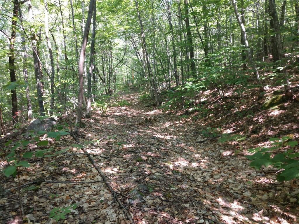 100 South Shore Road Linneus, ME 04730 - Photo 6 of 9 Photo
