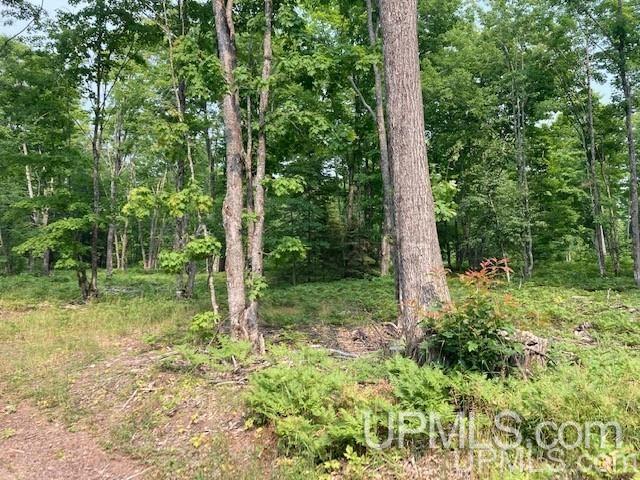 Tbd Old Mill Road Toivola, MI 49965 - Photo 6 of 25 Gallery Image 6