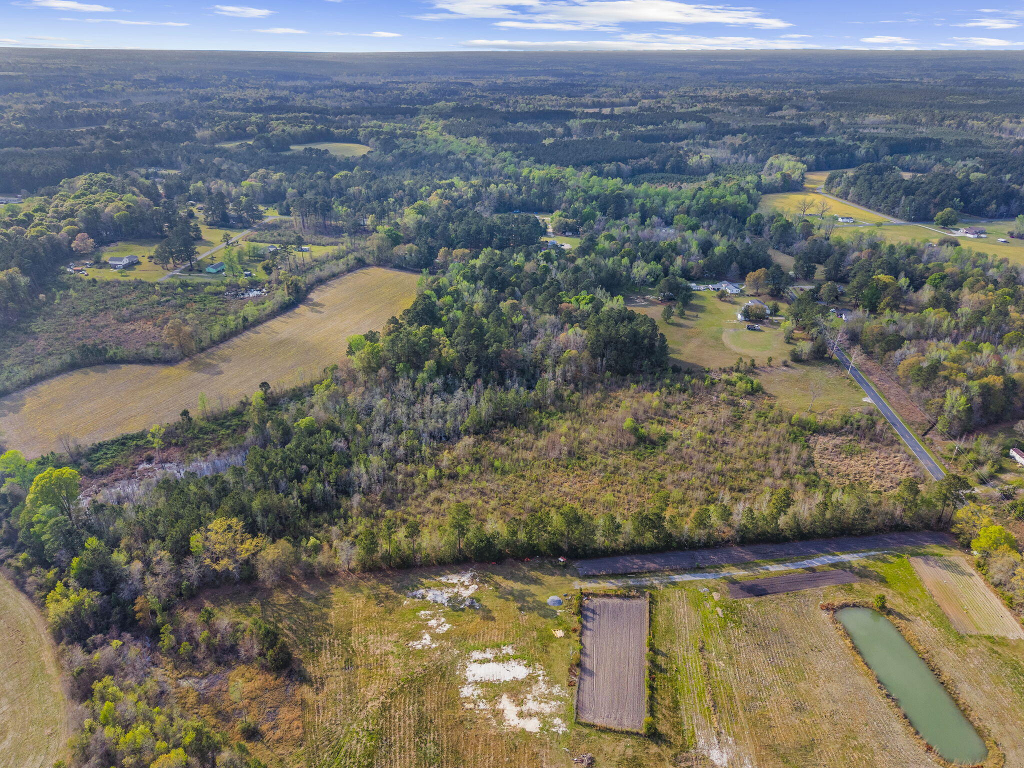 0 Mt Zion Road St. George, SC 29477 - Photo 11 of 14 20-web-or-mls-DJI_20260325171014_0222_D