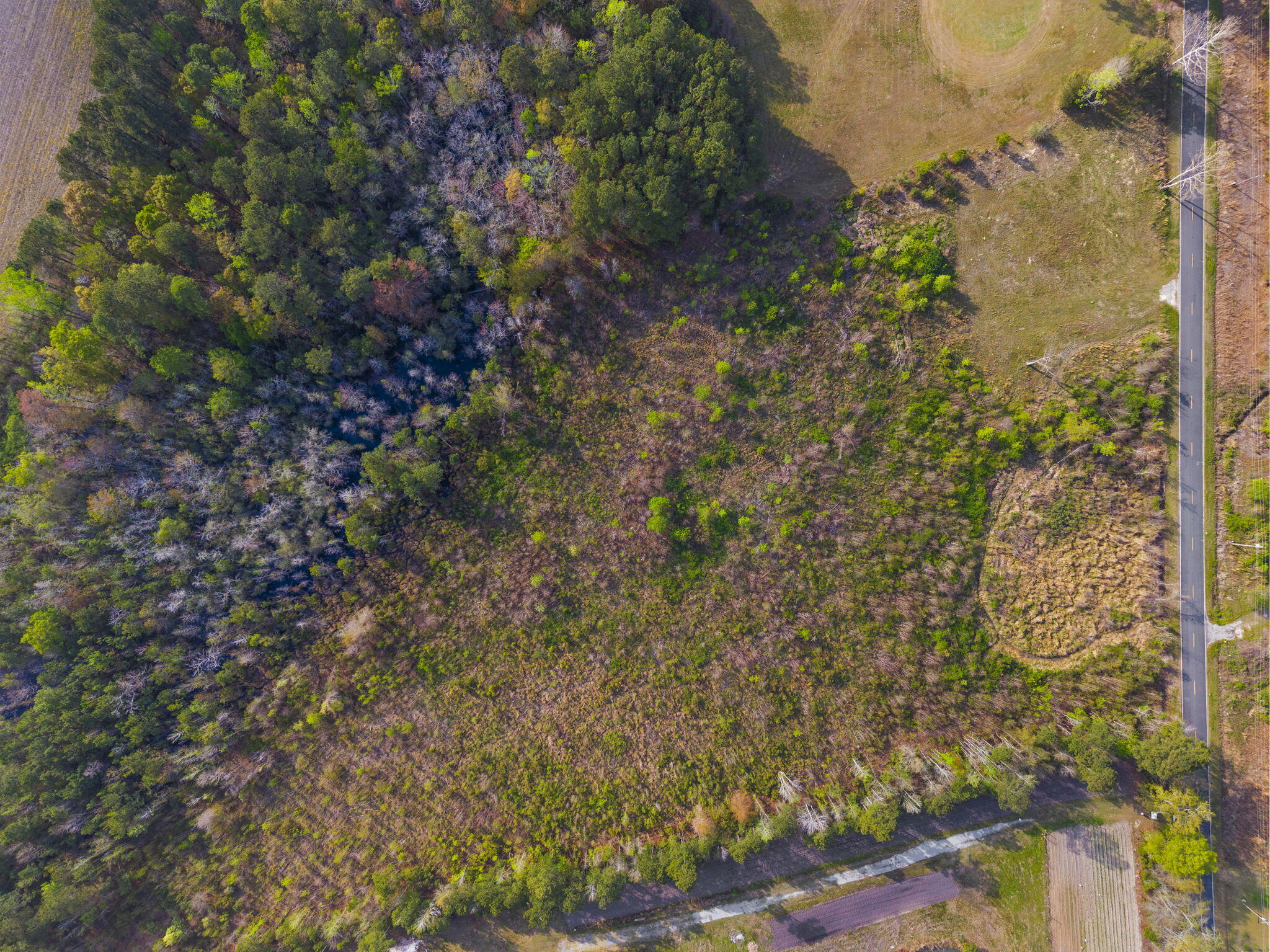 0 Mt Zion Road St. George, SC 29477 - Photo 12 of 14 24-web-or-mls-DJI_20260325171126_0242_D