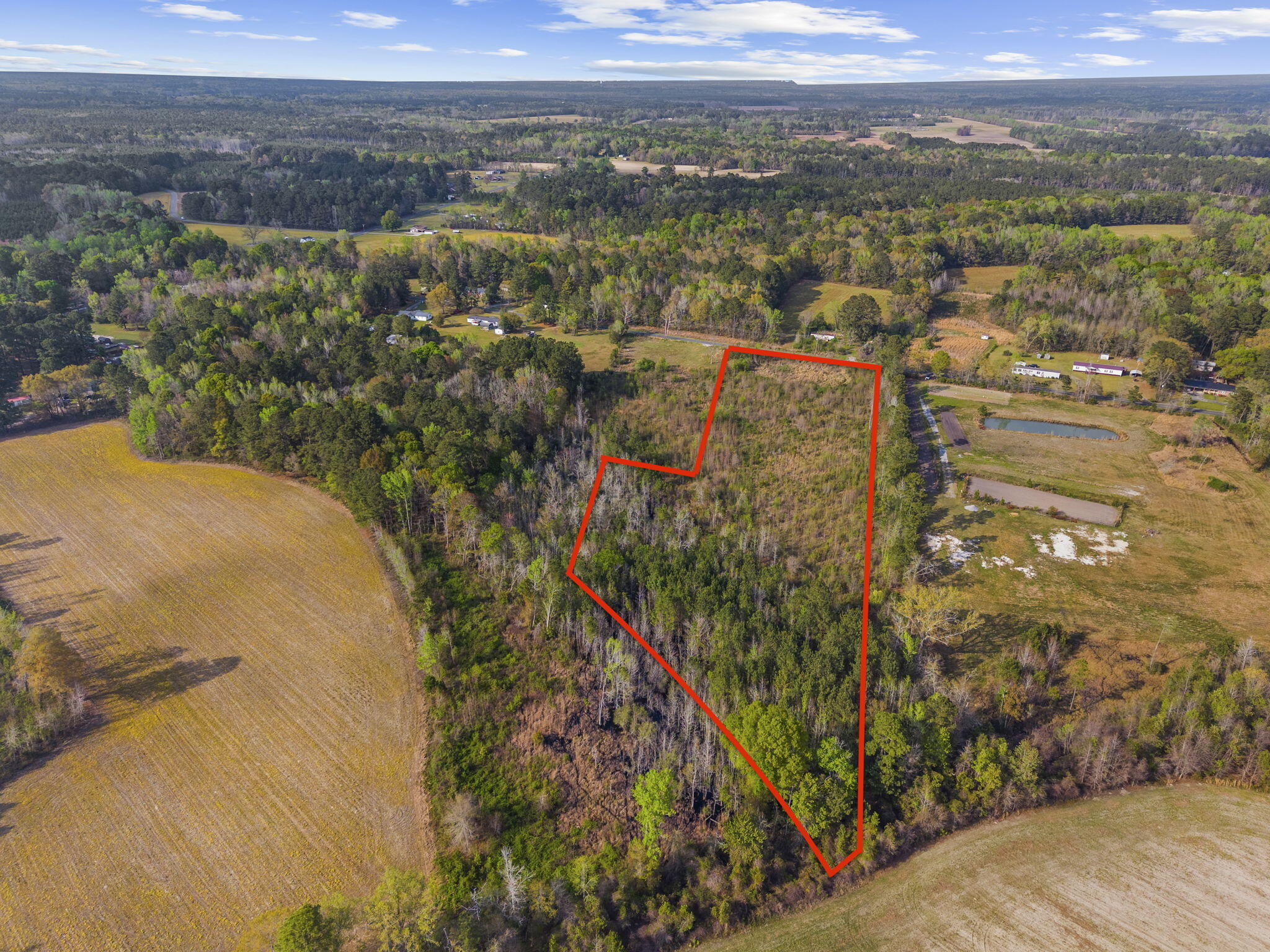 0 Mt Zion Road St. George, SC 29477 - Photo 3 of 14 31-web-or-mls-Lines 3