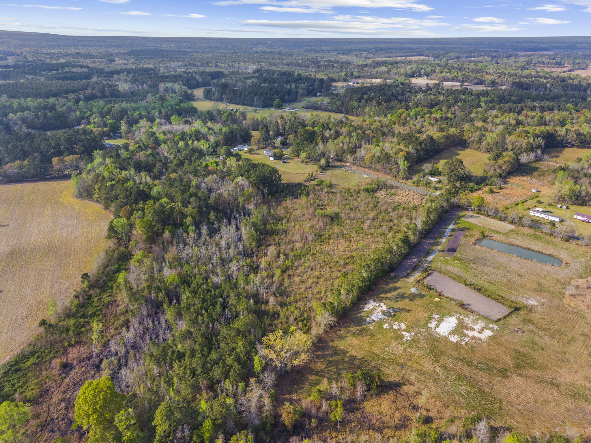 0 Mt Zion Road St. George, SC 29477 - Photo 9 of 14 16-web-or-mls-DJI_20260325170927_0202_D