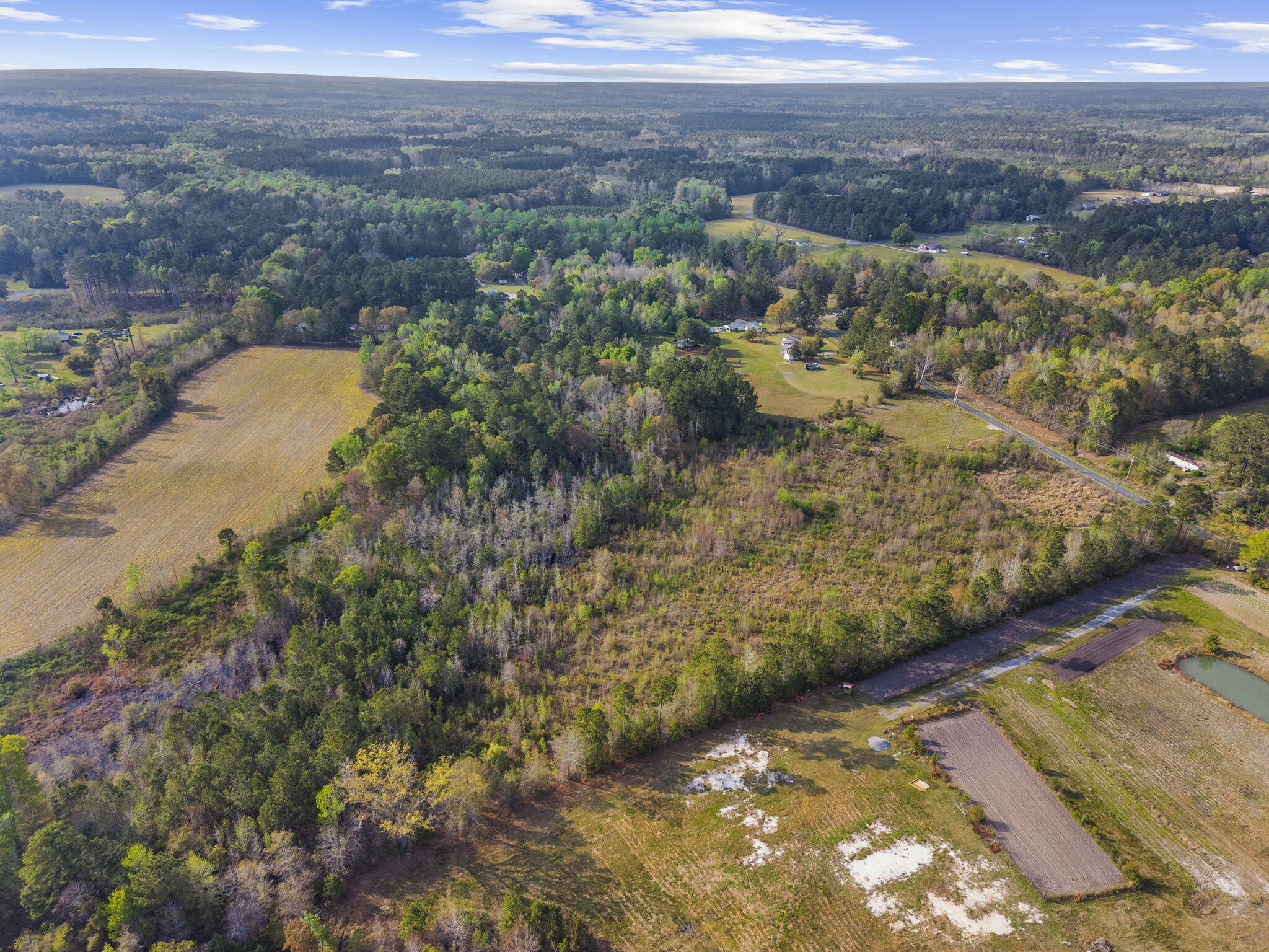 0 Mt Zion Road St. George, SC 29477 - Photo 10 of 14 17-web-or-mls-DJI_20260325170941_0207_D