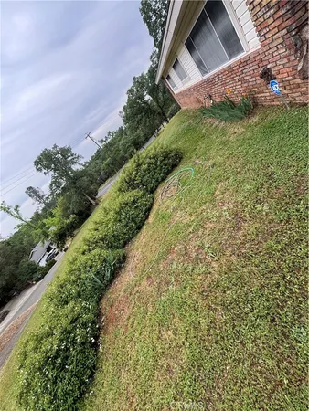 a view of a big yard with large trees