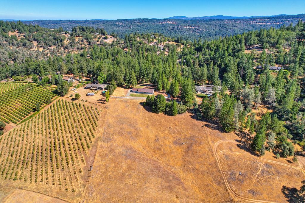 3700 Wilson Loop Placerville, CA 95667 - Photo 38 of 43