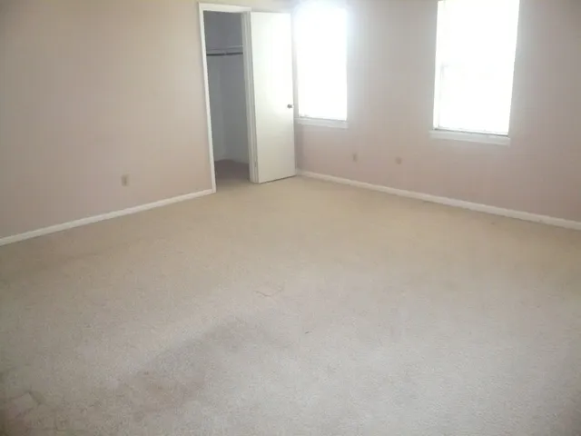 a view of a backyard with a garden and plants