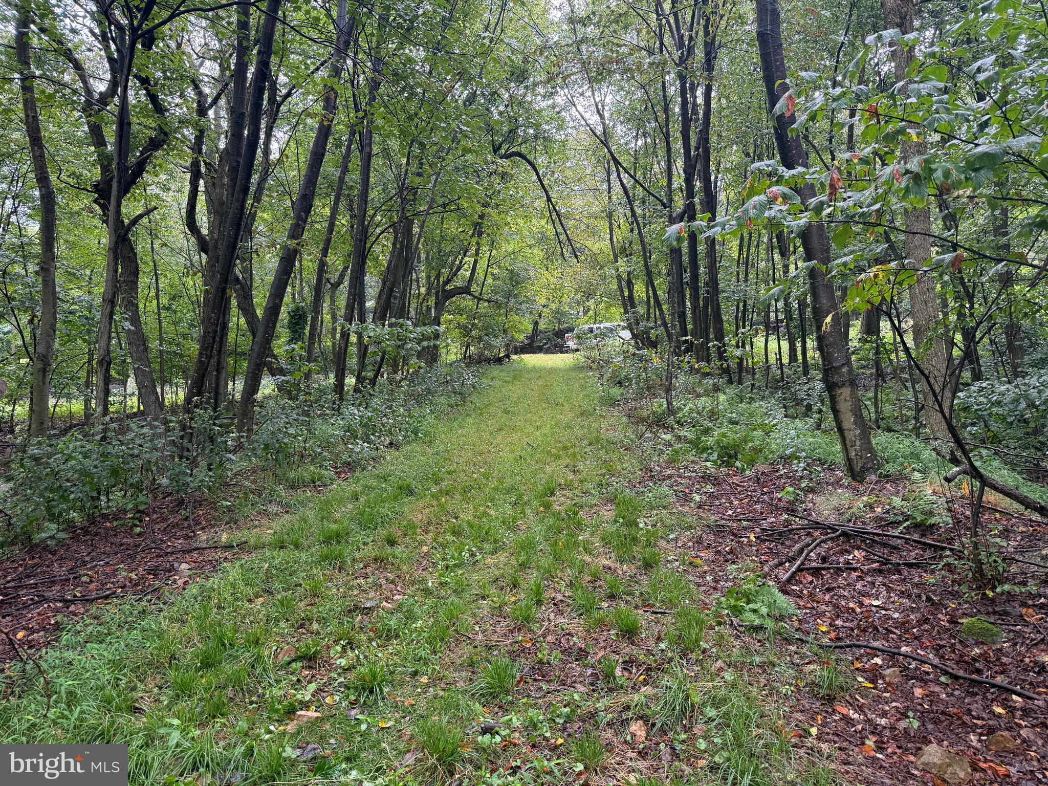0 Pinnacle Road Keyser, WV 26726 - Photo 13 of 61