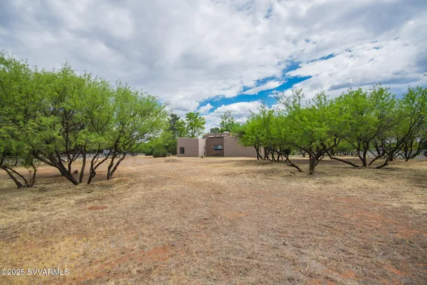 front view of a house with a tree