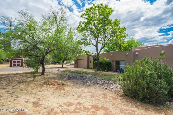 a view of a backyard with a tree