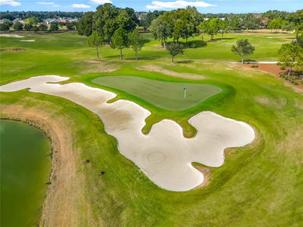 5647 Northwest 37th Lane Road Ocala, FL 34482 - Photo 50 of 50 a view of a swimming pool in a yard with green space