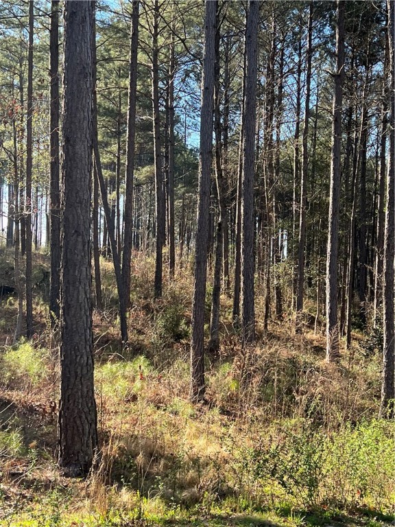 Lot 69 Harbor Point Road Seneca, SC 29672 - Photo 11 of 18 Gallery Image 11