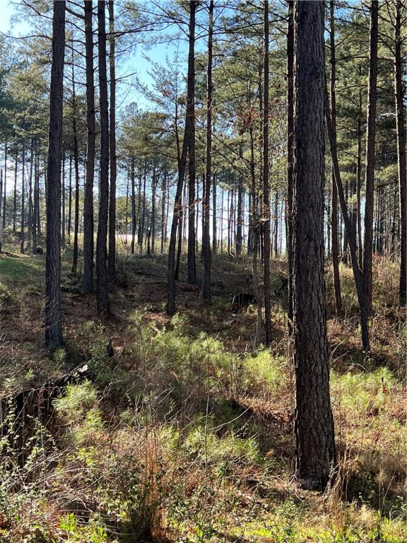 Lot 69 Harbor Point Road Seneca, SC 29672 - Photo 12 of 18 Gallery Image 12