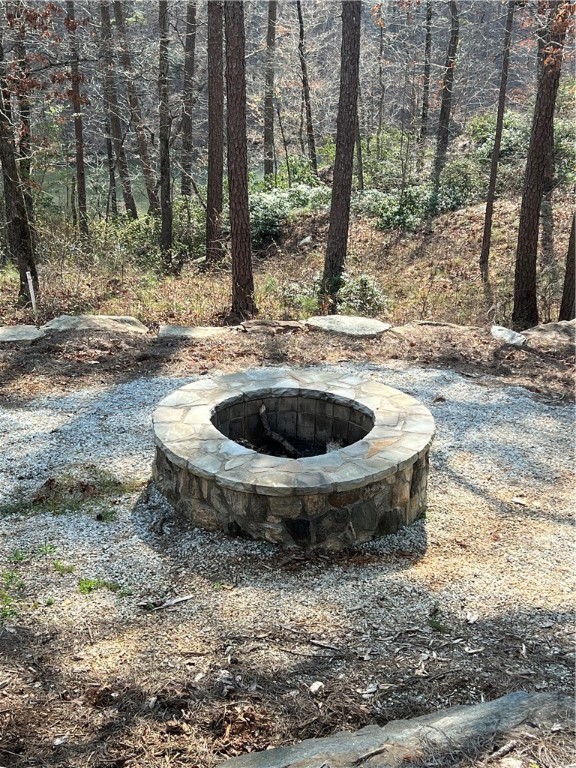 Lot 69 Harbor Point Road Seneca, SC 29672 - Photo 17 of 18 Gallery Image 17