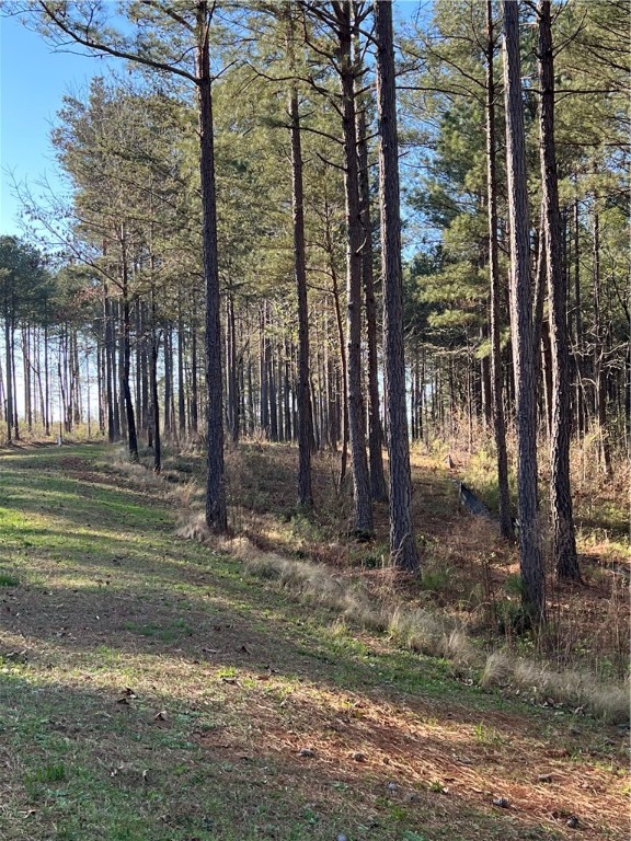 Lot 69 Harbor Point Road Seneca, SC 29672 - Photo 8 of 18 Gallery Image 8