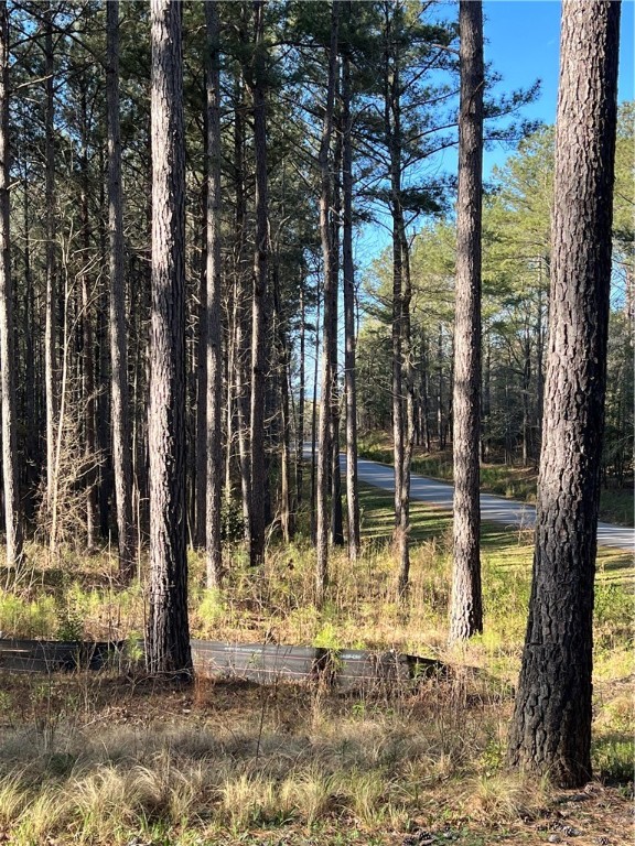 Lot 69 Harbor Point Road Seneca, SC 29672 - Photo 10 of 18 Gallery Image 10