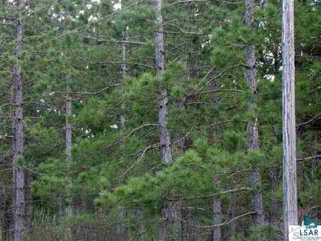 Xxx Olby Road High Bridge, WI 54846 - Photo 1 of 12 Gallery Image 1