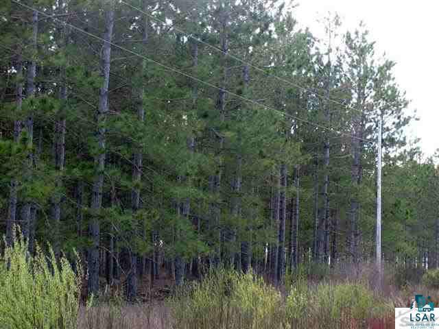 Xxx Olby Road High Bridge, WI 54846 - Photo 11 of 12 Gallery Image 11