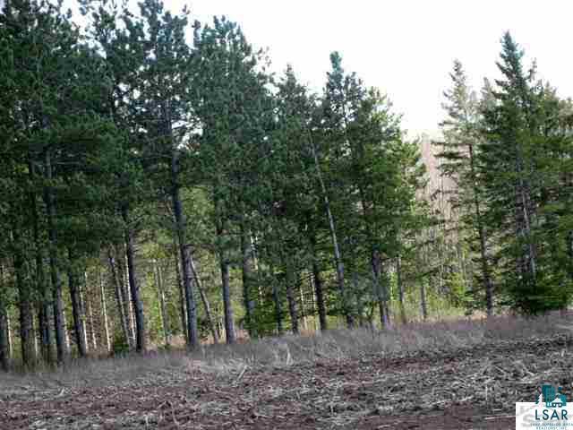 Xxx Olby Road High Bridge, WI 54846 - Photo 3 of 12 Gallery Image 3