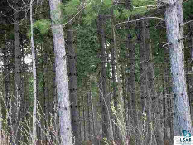 Xxx Olby Road High Bridge, WI 54846 - Photo 5 of 12 Gallery Image 5