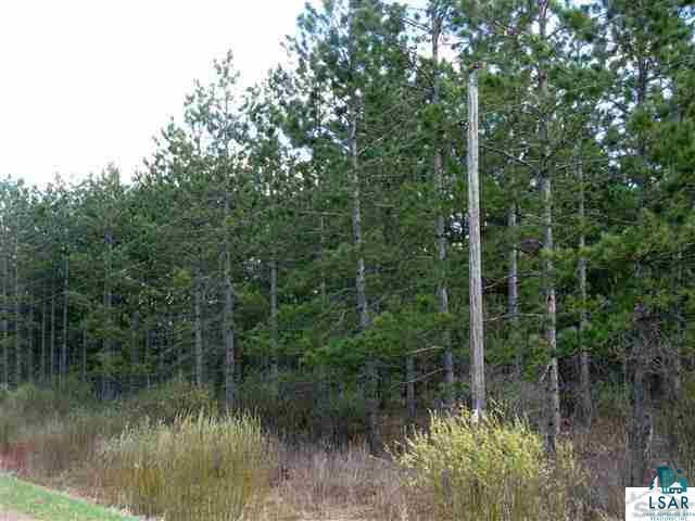 Xxx Olby Road High Bridge, WI 54846 - Photo 6 of 12 Gallery Image 6