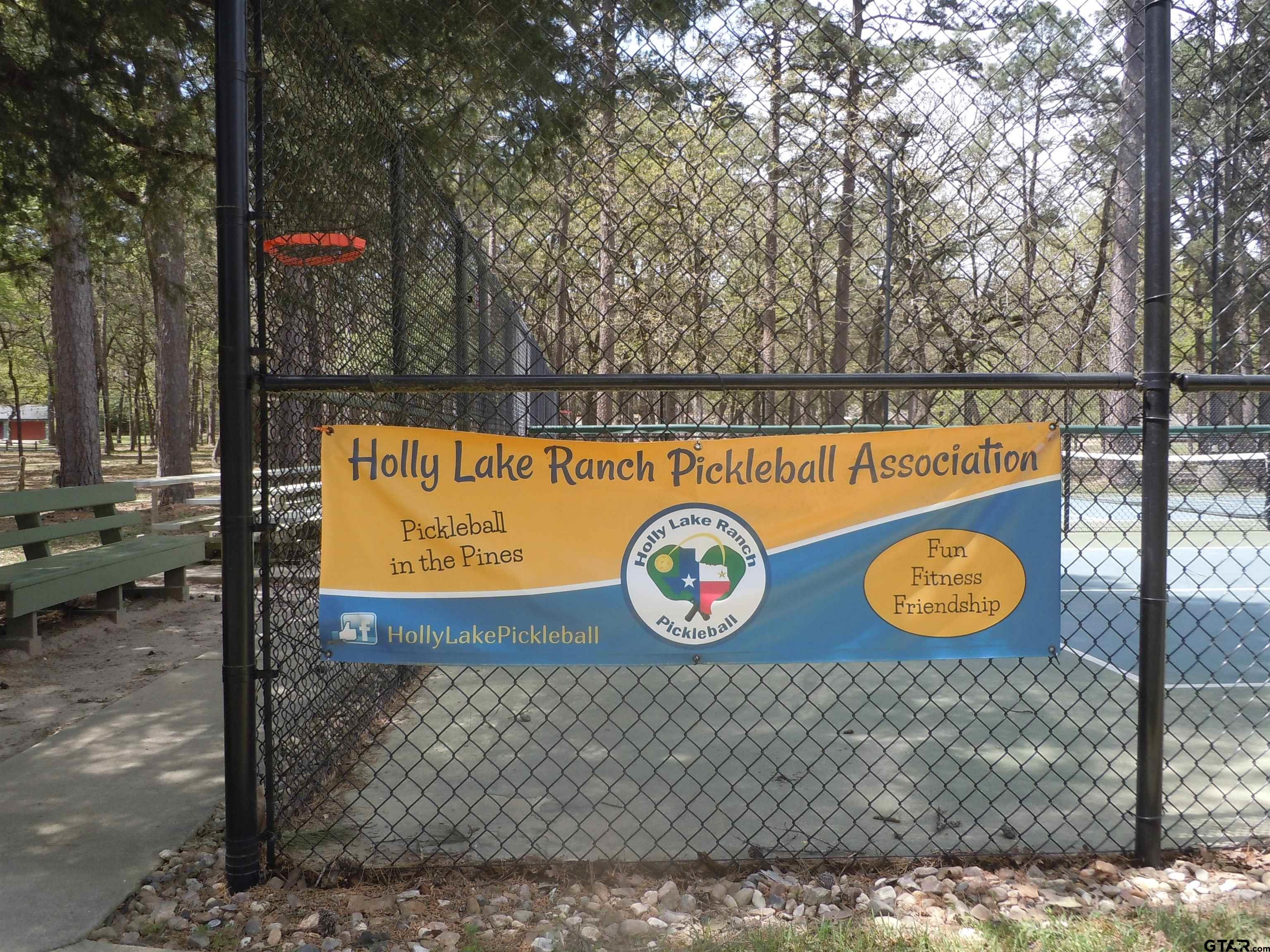 371 Wildwood Trail Holly Lake Ranch, TX 75765 - Photo 14 of 32