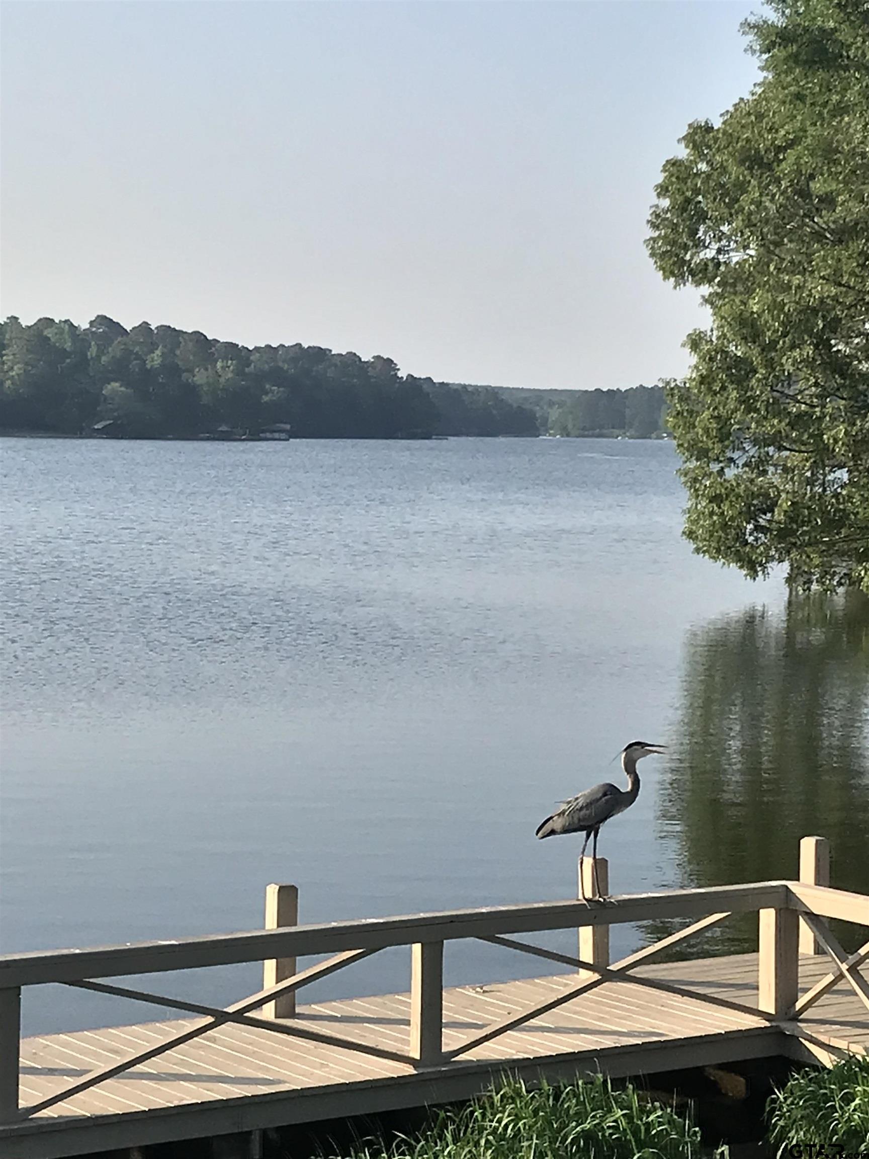 371 Wildwood Trail Holly Lake Ranch, TX 75765 - Photo 17 of 32