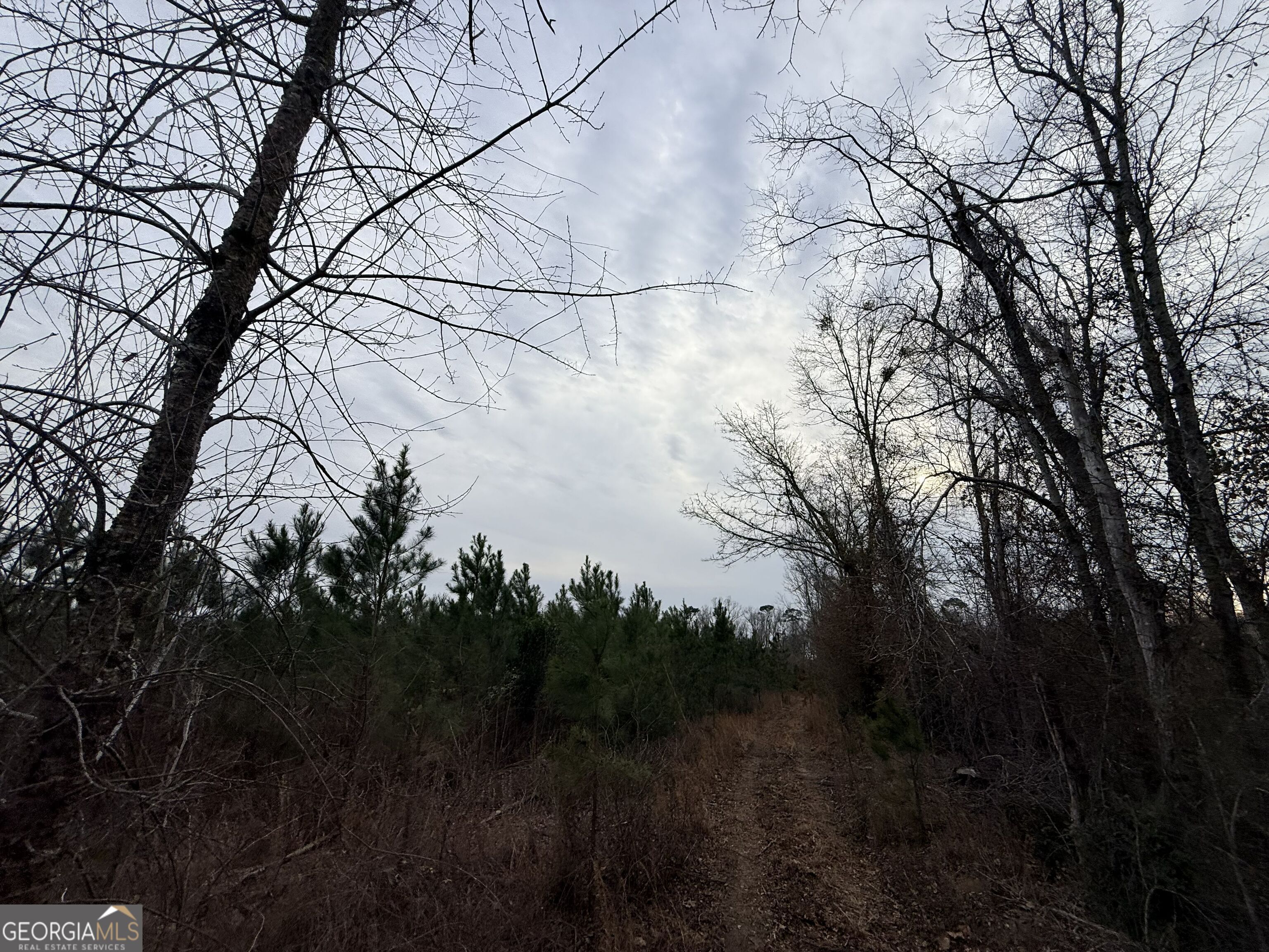 1 Dodges Chapel Road Lumber City, GA 31549 - Photo 11 of 31