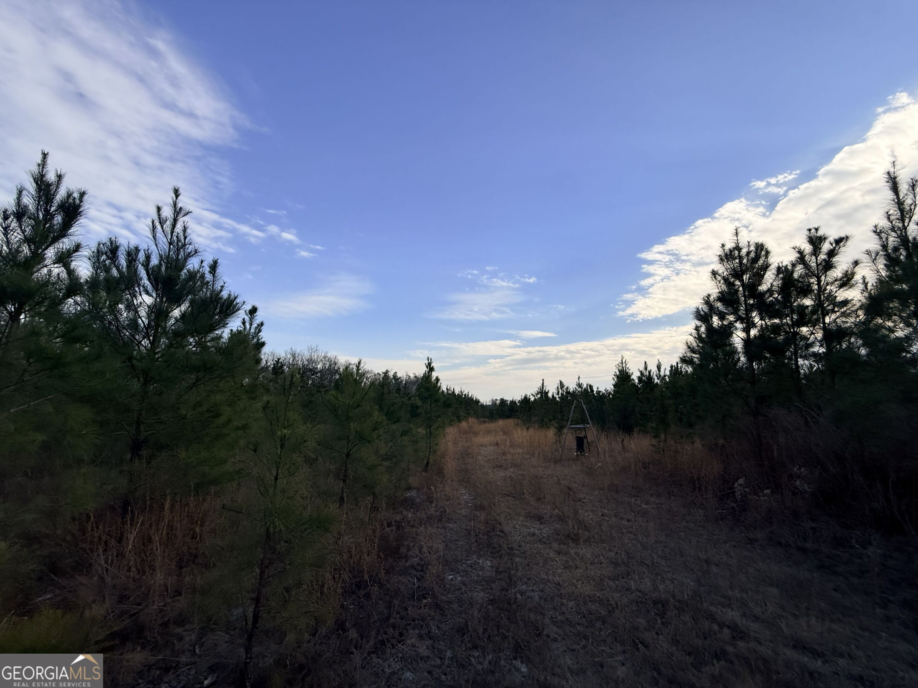 1 Dodges Chapel Road Lumber City, GA 31549 - Photo 13 of 31