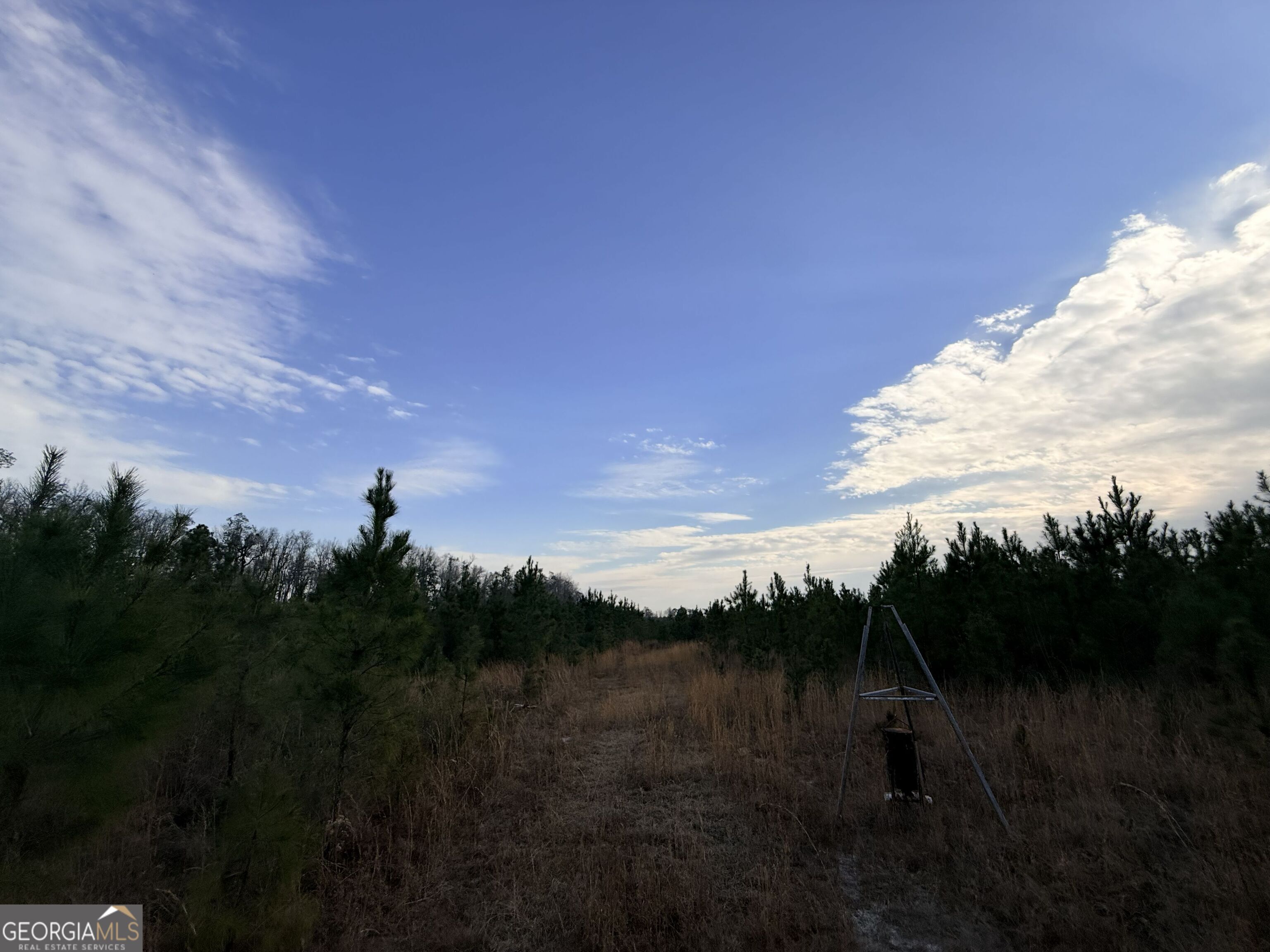 1 Dodges Chapel Road Lumber City, GA 31549 - Photo 14 of 31