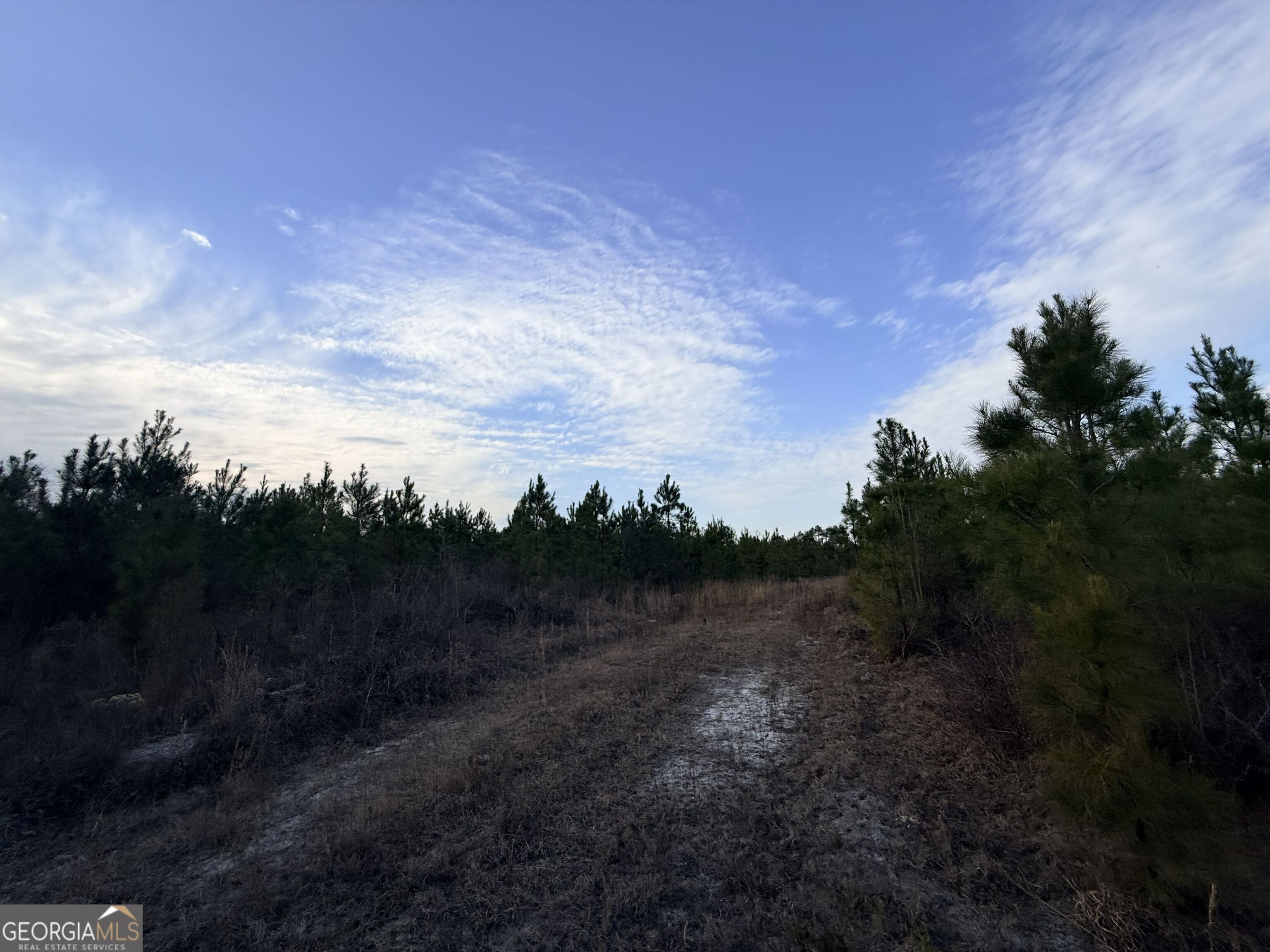 1 Dodges Chapel Road Lumber City, GA 31549 - Photo 17 of 31