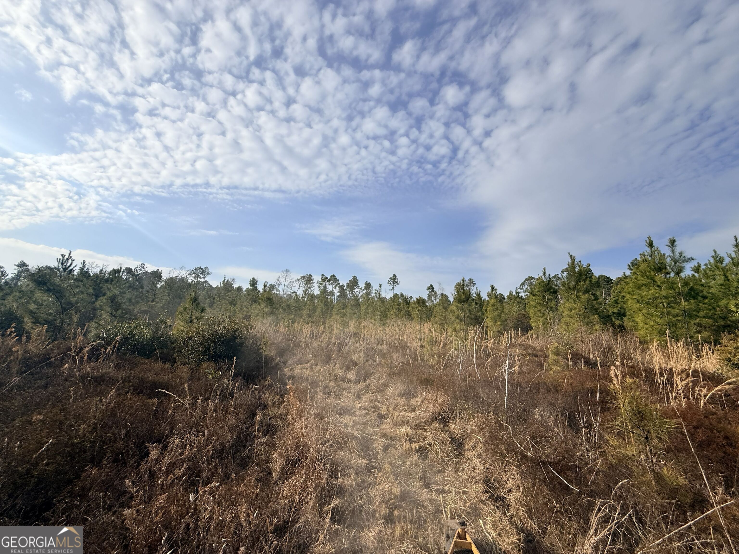 1 Dodges Chapel Road Lumber City, GA 31549 - Photo 18 of 31