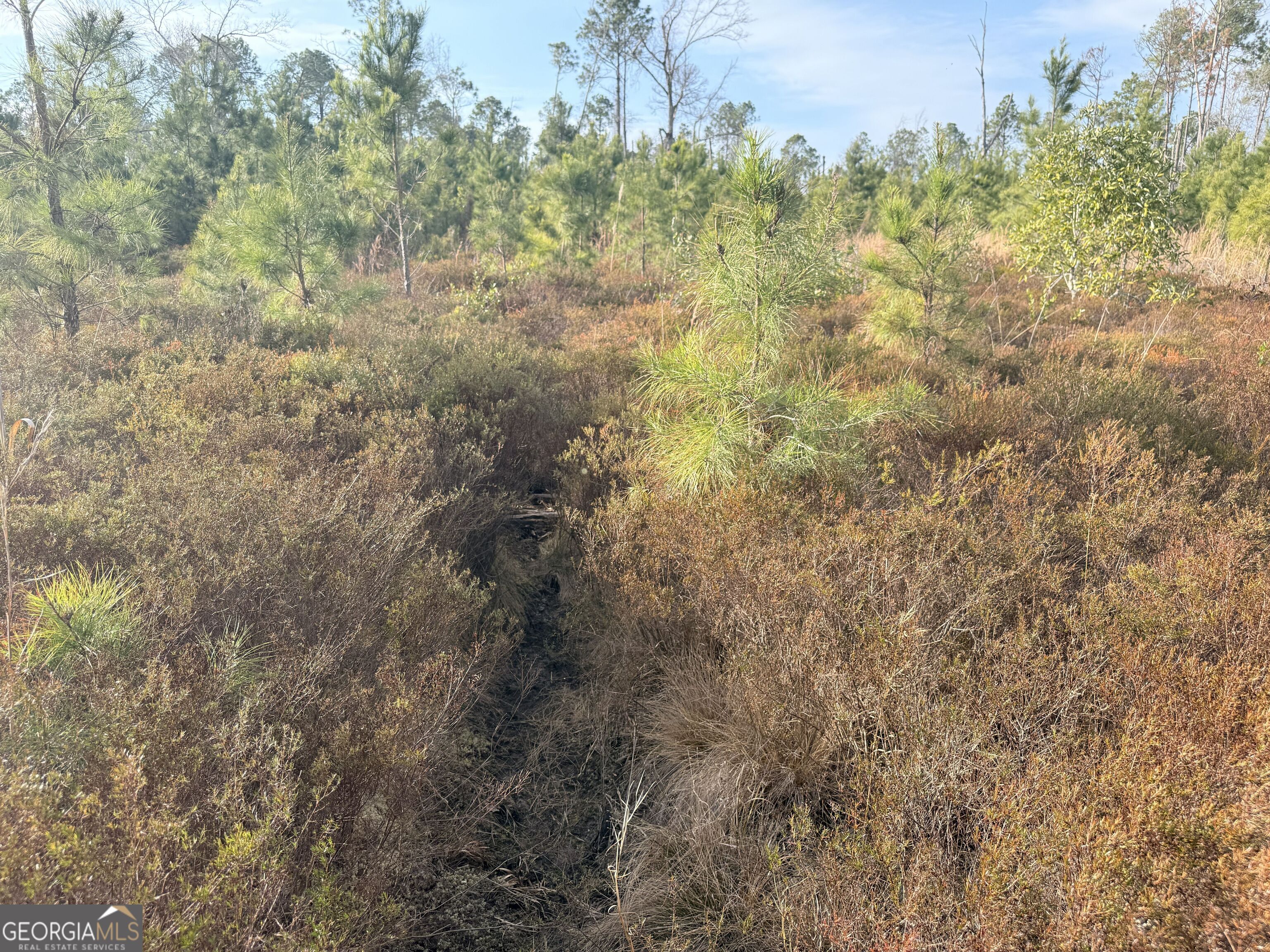 1 Dodges Chapel Road Lumber City, GA 31549 - Photo 23 of 31