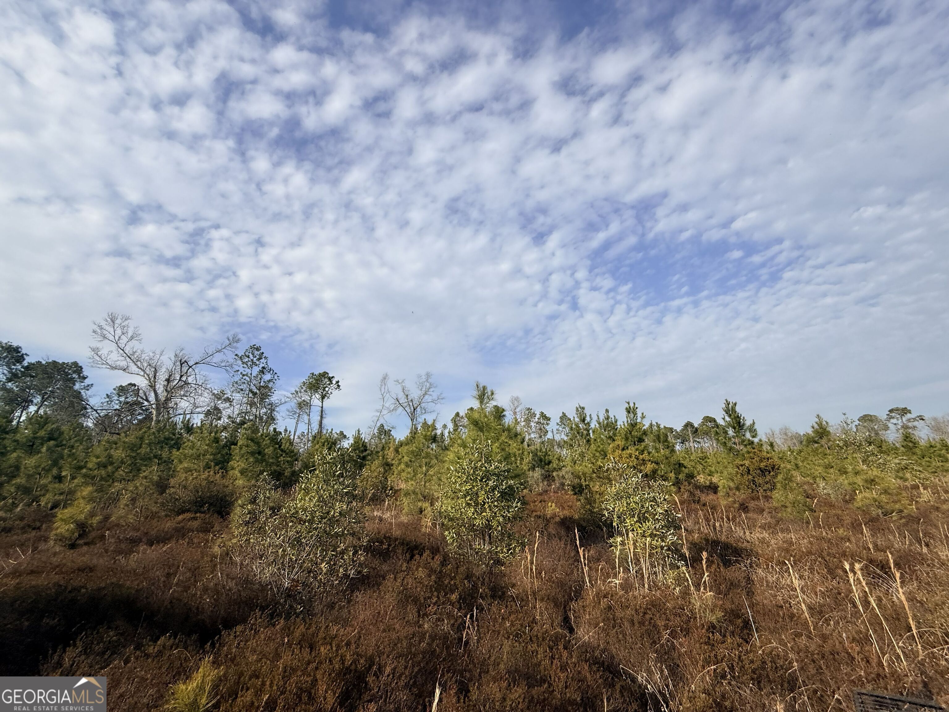 1 Dodges Chapel Road Lumber City, GA 31549 - Photo 26 of 31