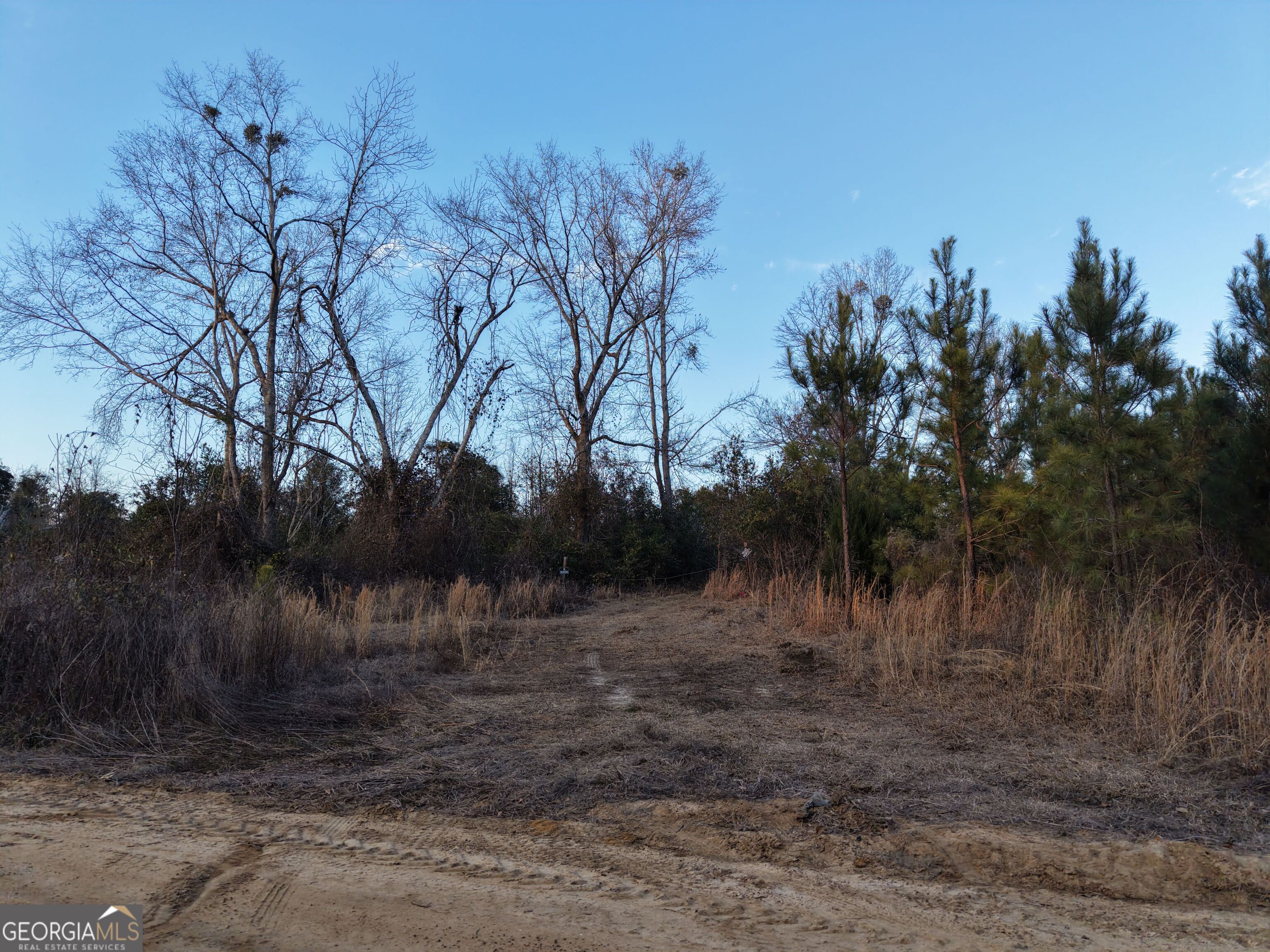 1 Dodges Chapel Road Lumber City, GA 31549 - Photo 30 of 31