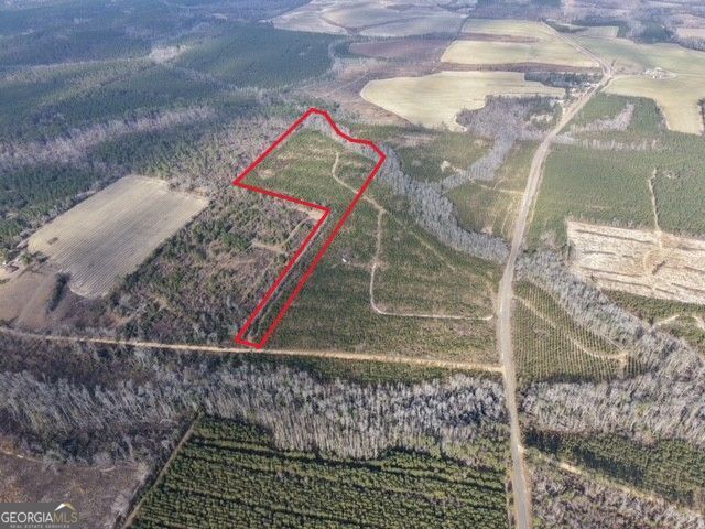 1 Dodges Chapel Road Lumber City, GA 31549 - Photo 3 of 31