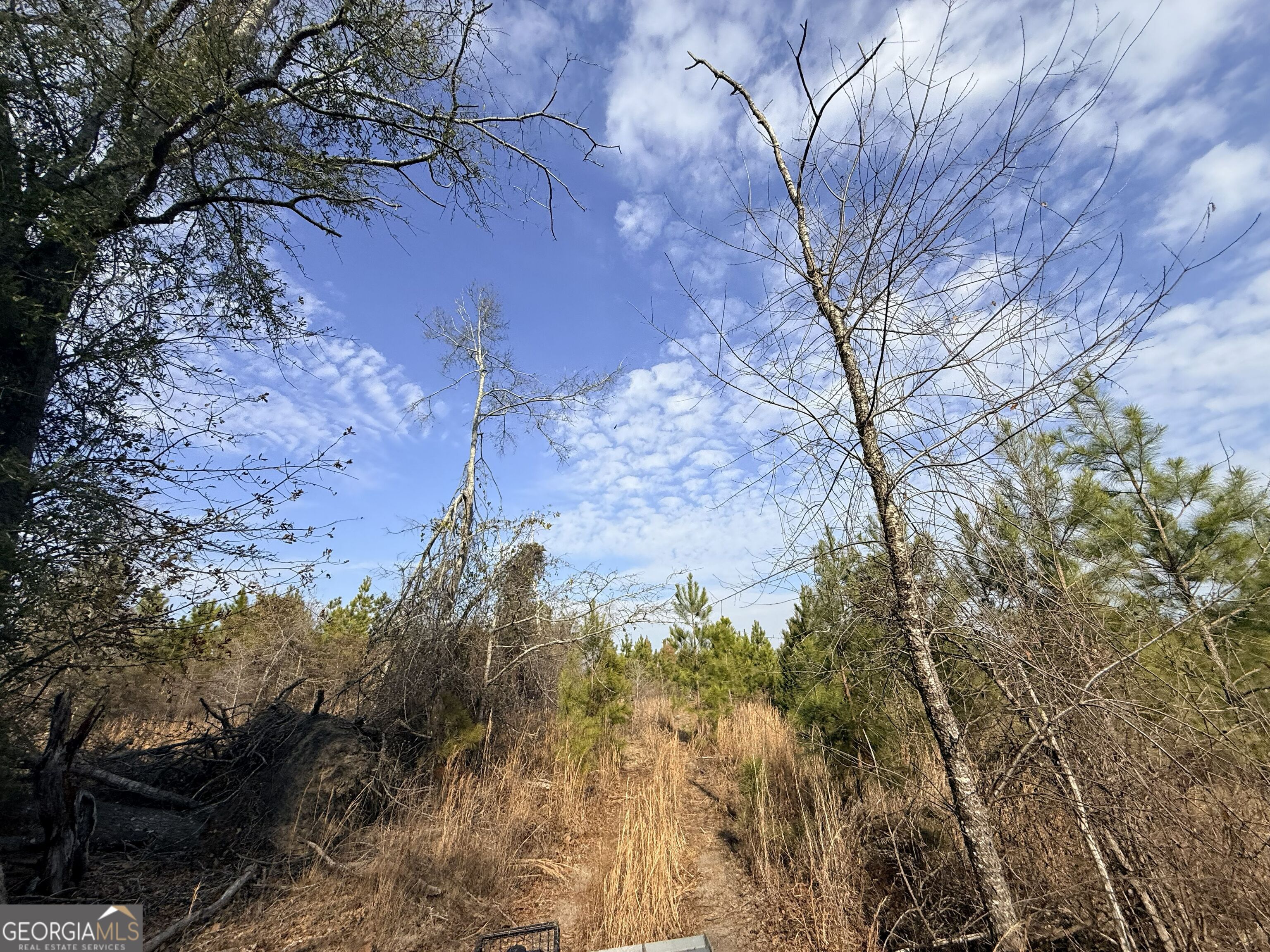 1 Dodges Chapel Road Lumber City, GA 31549 - Photo 31 of 31