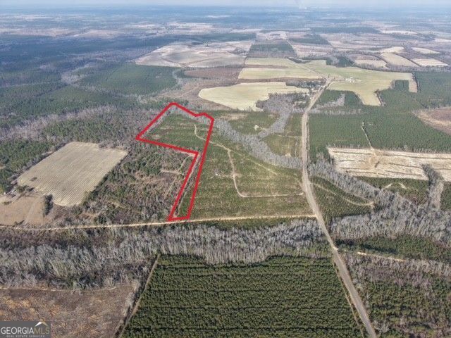 1 Dodges Chapel Road Lumber City, GA 31549 - Photo 4 of 31