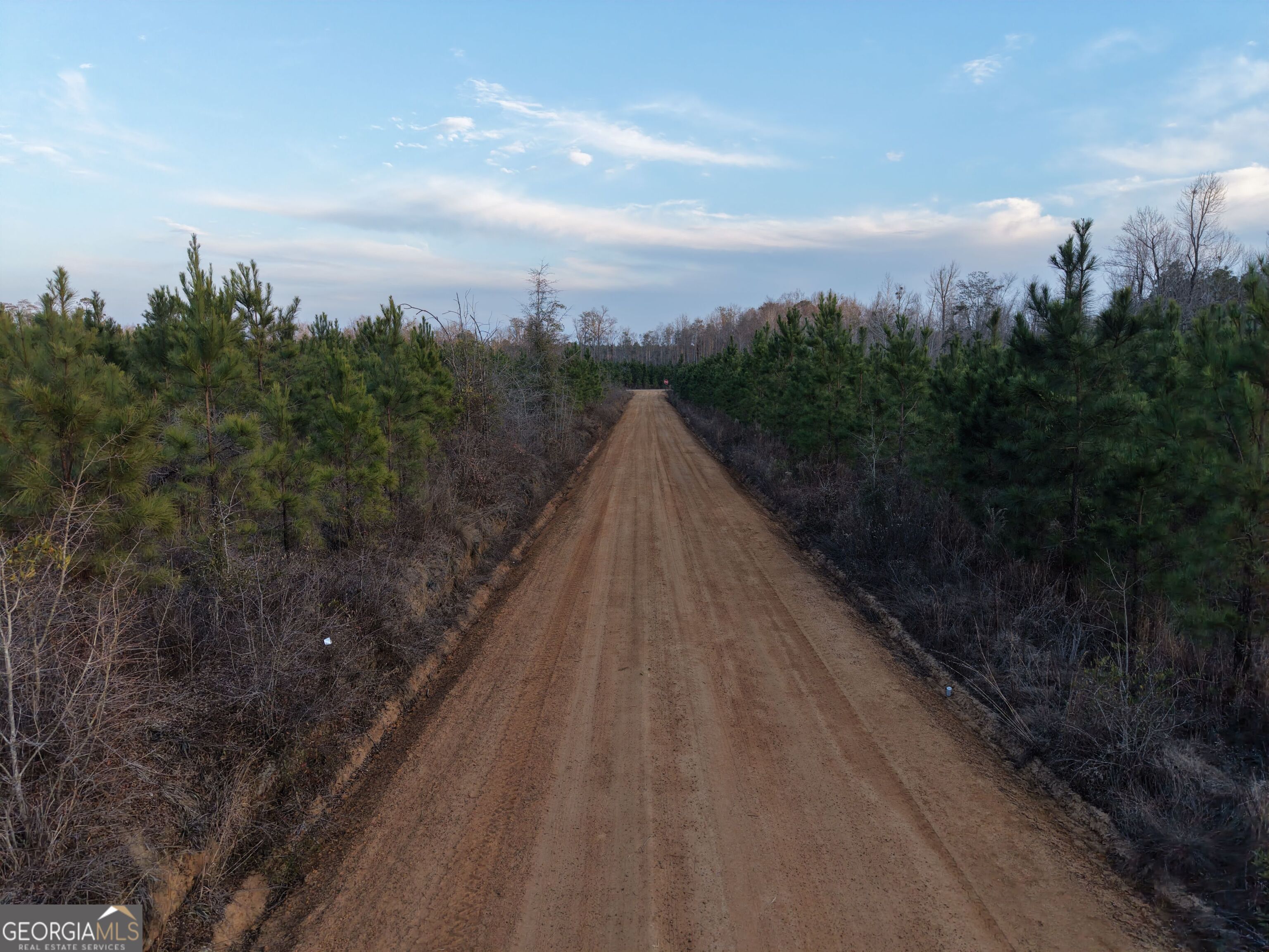 1 Dodges Chapel Road Lumber City, GA 31549 - Photo 6 of 31