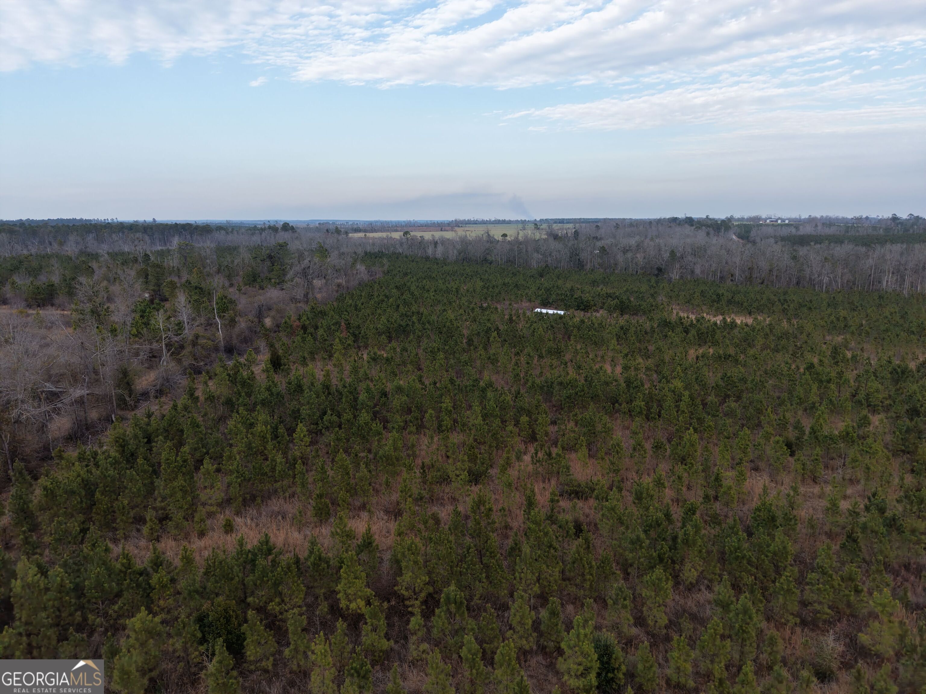 1 Dodges Chapel Road Lumber City, GA 31549 - Photo 8 of 31