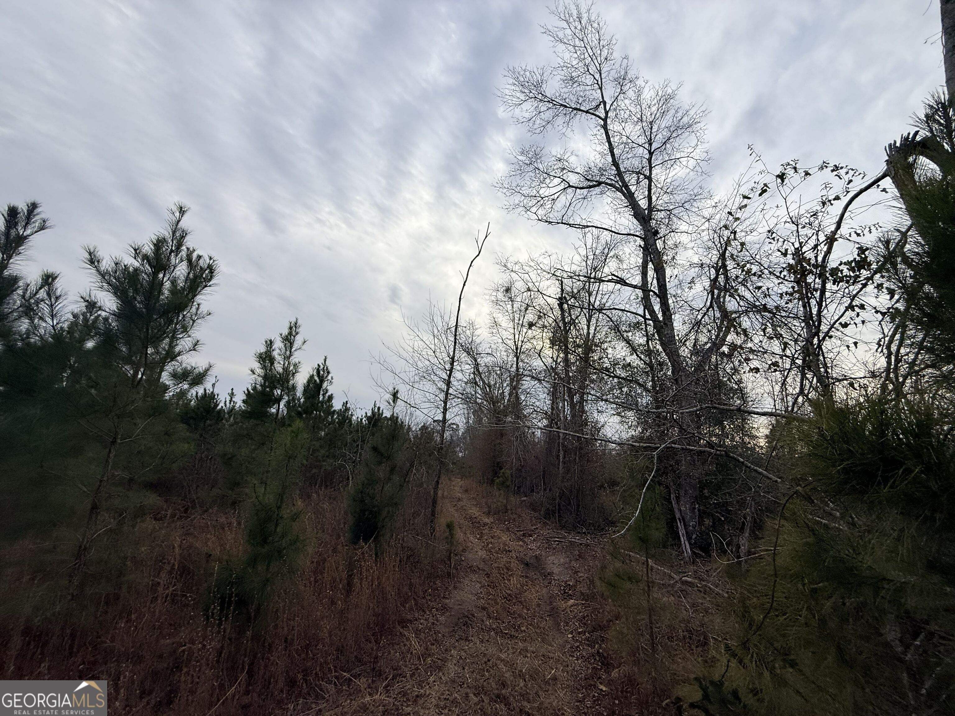 1 Dodges Chapel Road Lumber City, GA 31549 - Photo 10 of 31