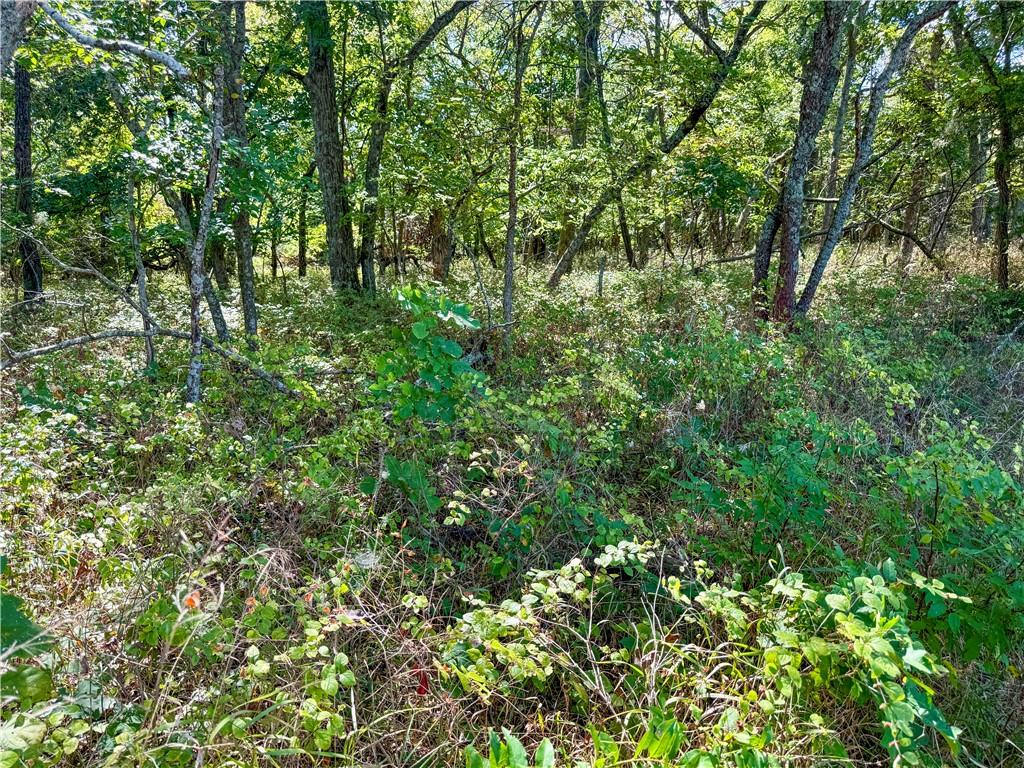 0 New Lancaster Road Lacygne, KS 66040 - Photo 15 of 32