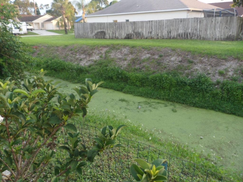 6262 Adams Street Jupiter, FL 33458 - Photo 4 of 15 018