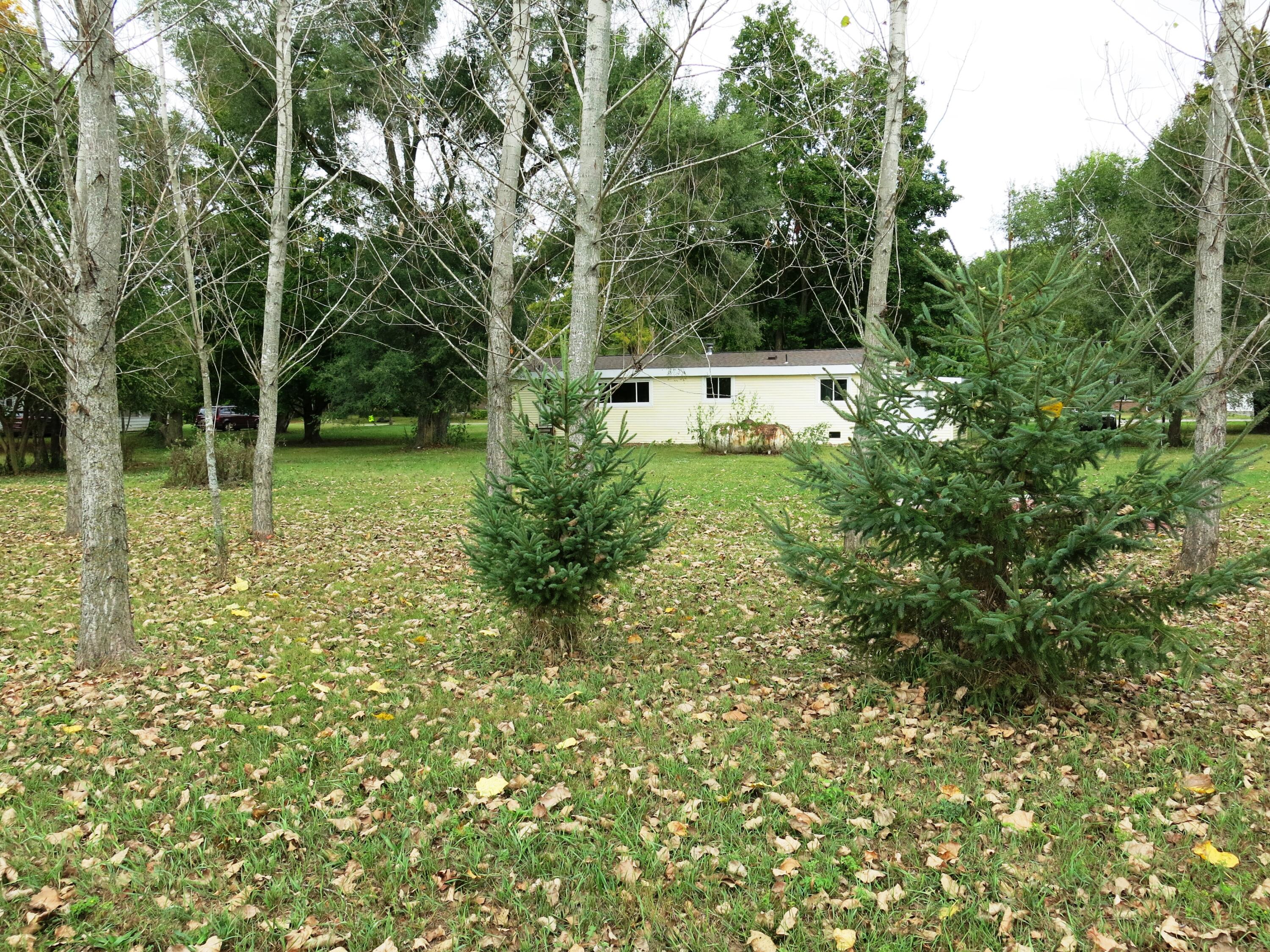 141 West Union City Road Union City, MI 49094 - Photo 5 of 28 IMG_0131