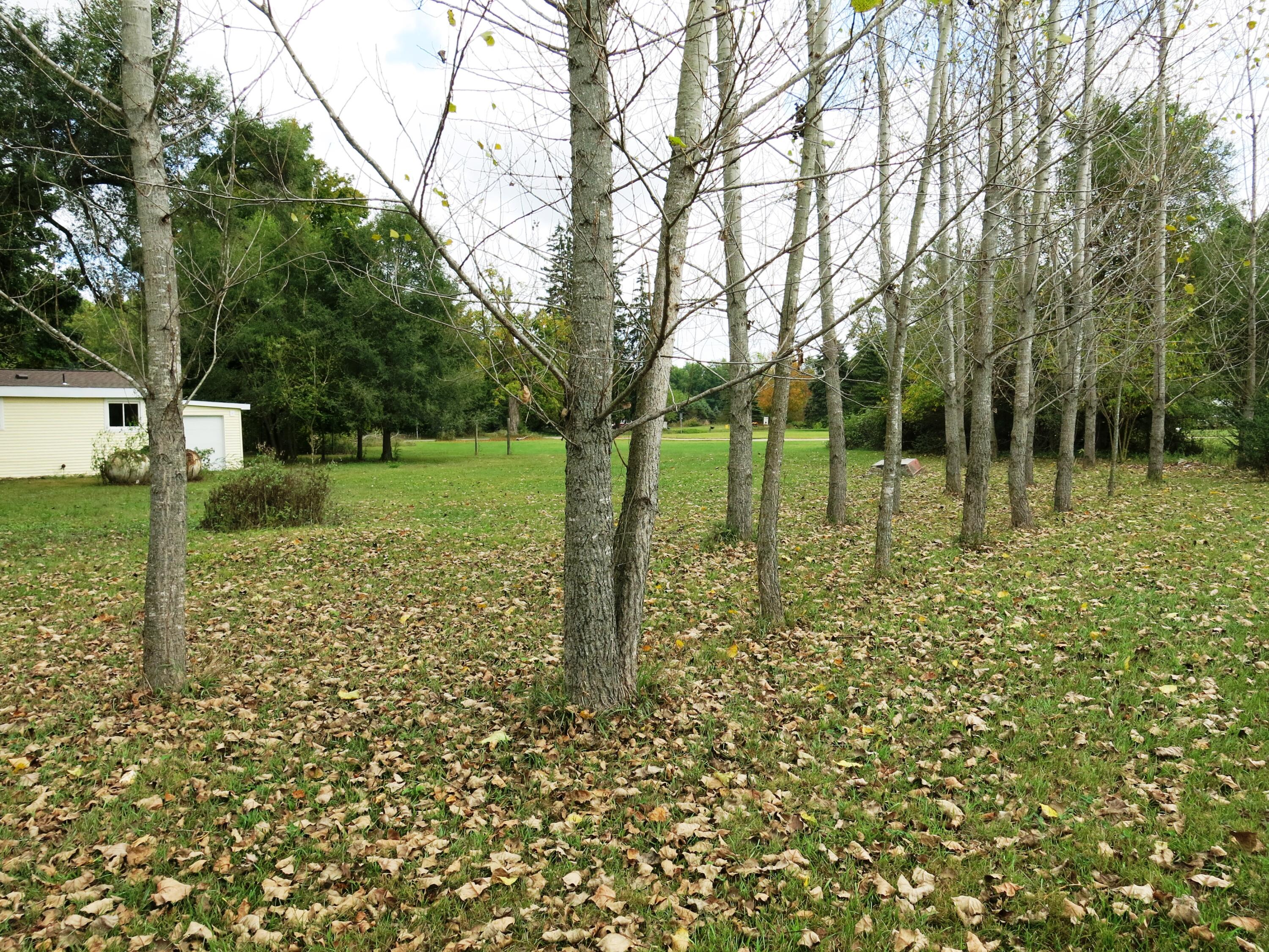 141 West Union City Road Union City, MI 49094 - Photo 6 of 28 IMG_0132