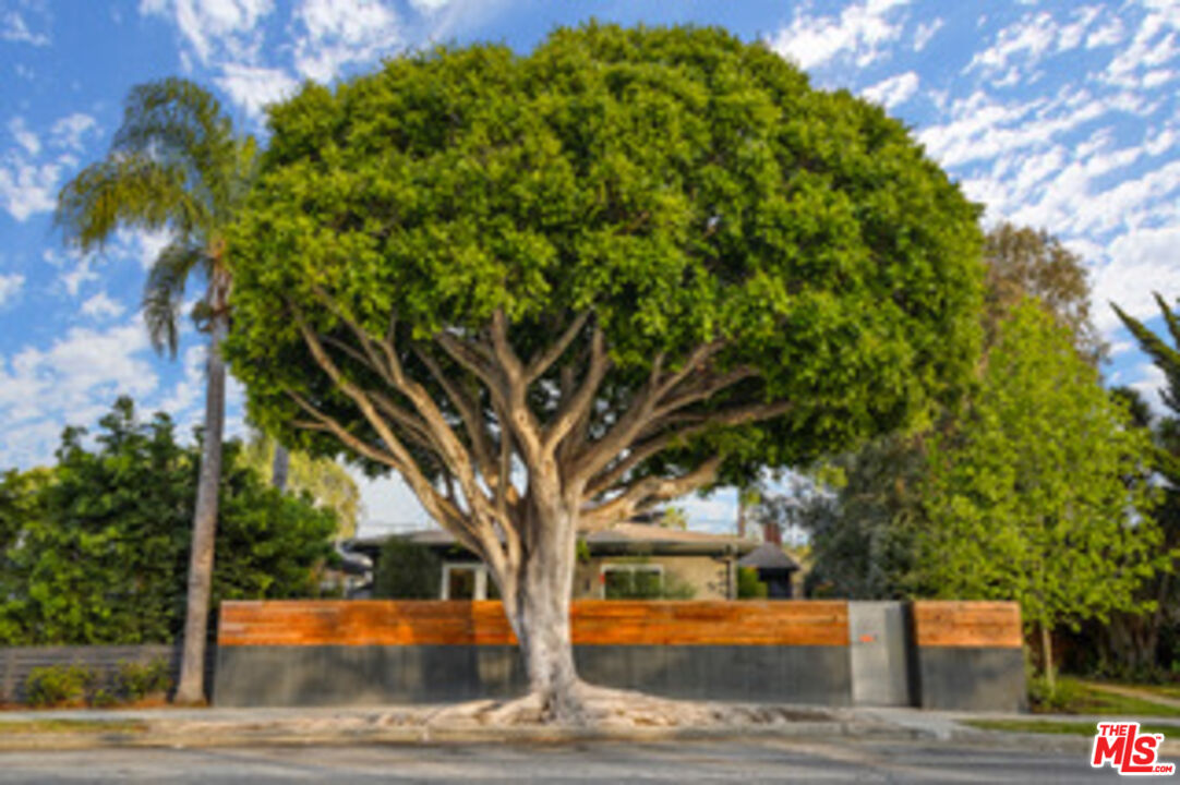 940 Rose Avenue Venice, CA 90291 - Photo 38 of 39 a view of outdoor space yard and tree