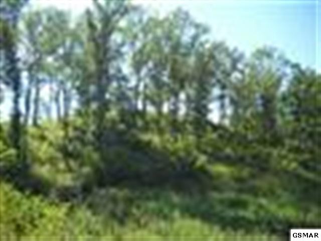 13 Hidden Ranch Way Seymour, TN 37865 - Photo 1 of 1